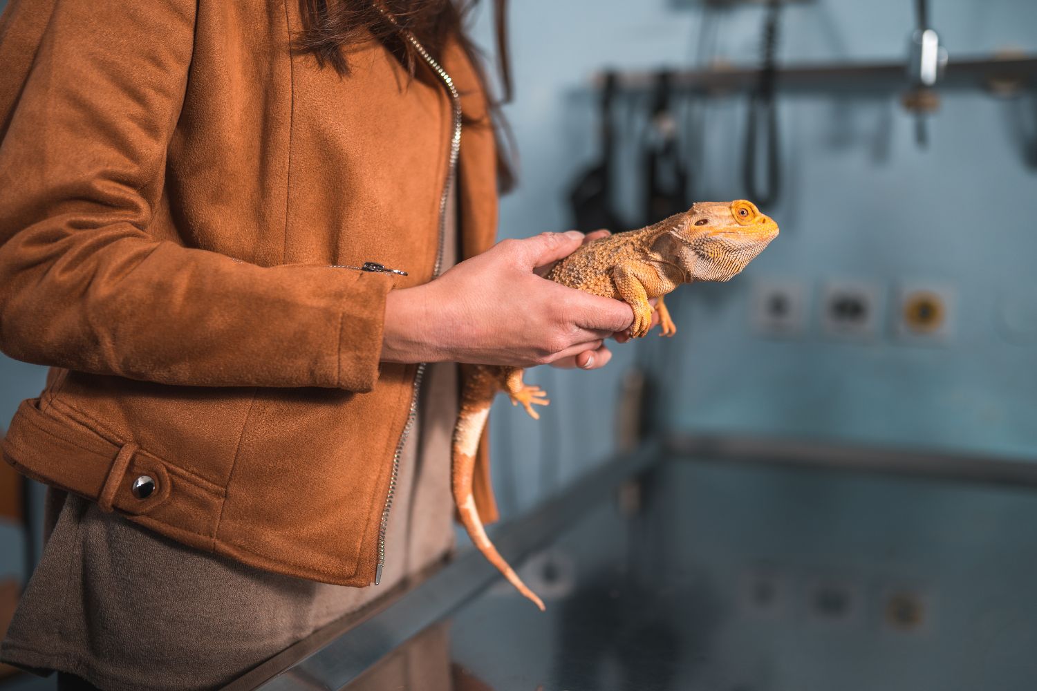 a person holding a lizard