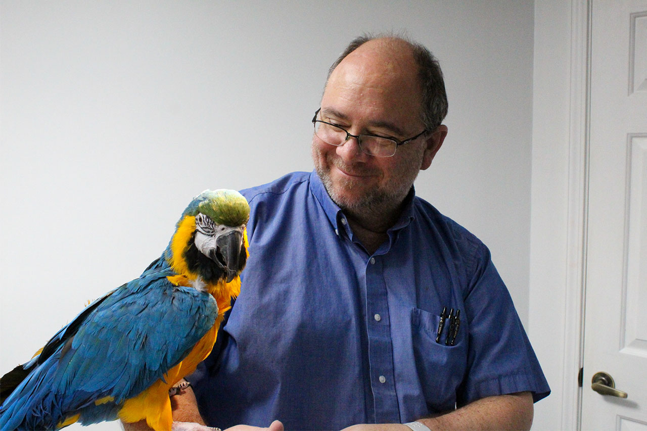 Kannapolis, NC 28083 Veterinary Services | Griffin Avian And Exotic ...